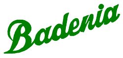 logo Badenia