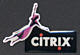 Citrix (002)