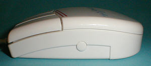 Fancy Mouse: side view (click for larger image, 28k)